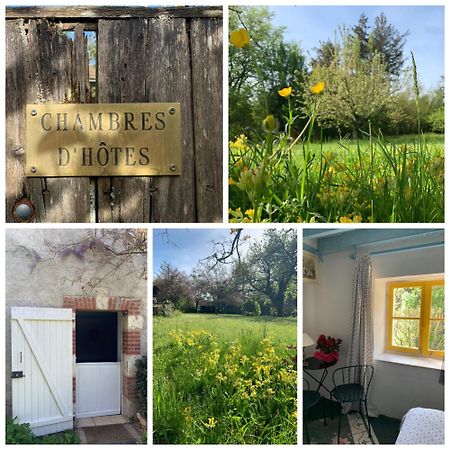 Chambres D'Hotes Les Renardieres Molineuf Экстерьер фото